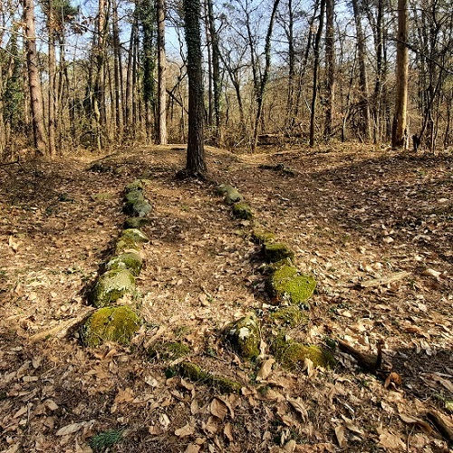 The “cromlechs” of the Golasecca necropolis