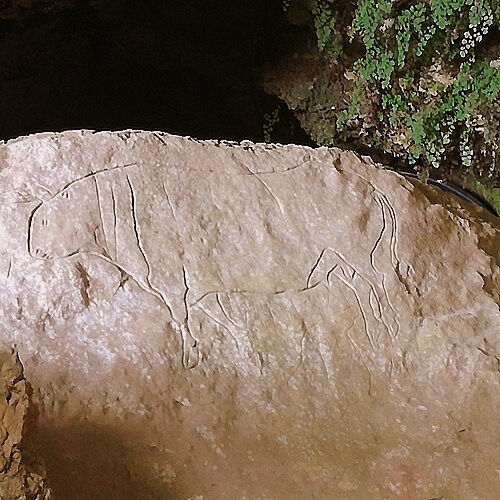 Rites and graffiti from prehistory: the Romito Cave