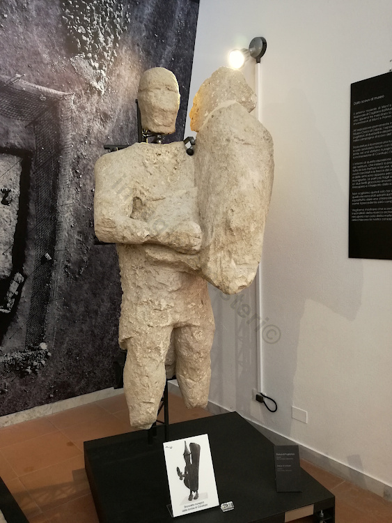 Boxer of the Cavalupo type, Giovanni Marongiu Civic Museum, Cabras