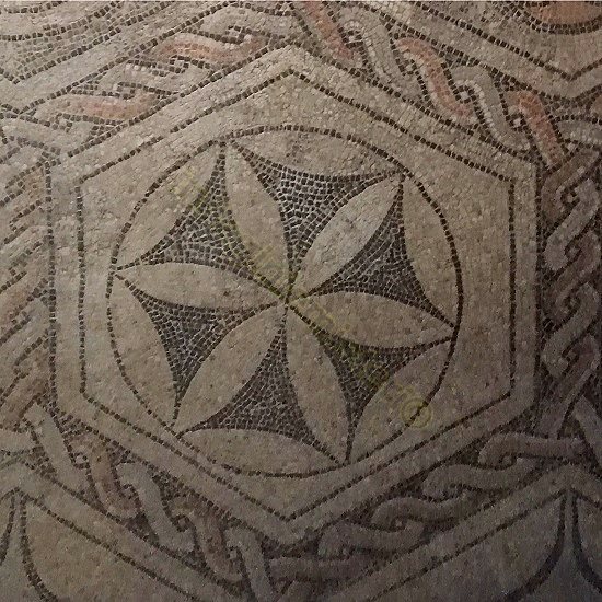 Fiore della vita