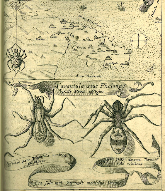 Illustrazione della taranta di Athanasius Kircher