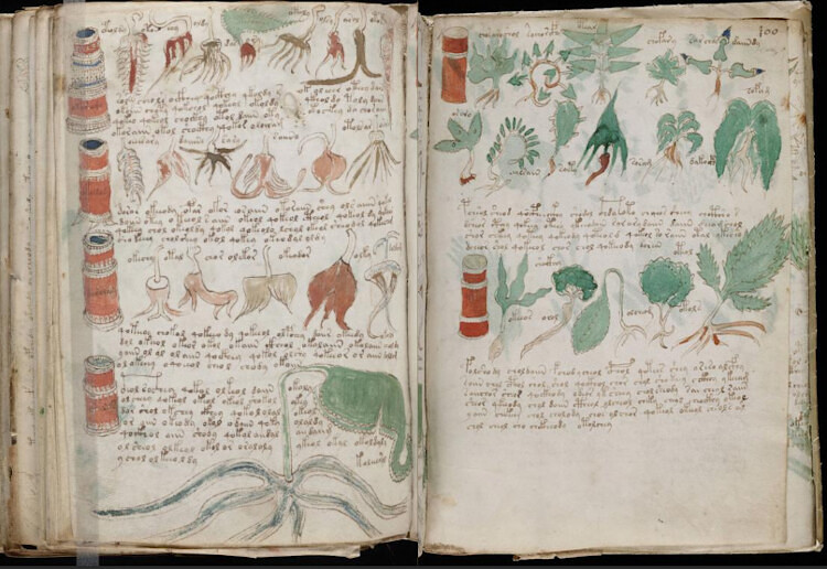 Voynich