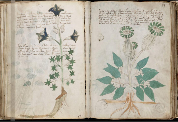 Manoscritto Voynich, pagine 32v-33r