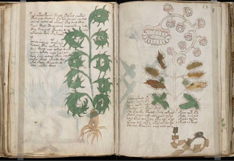 Manoscritto Voynich, pagine 52v-53r
