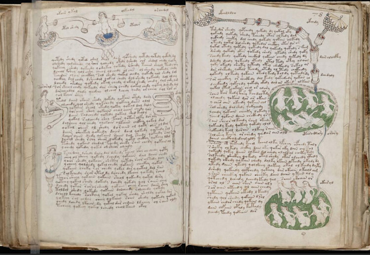Manoscritto Voynich, pagine 77v-78r