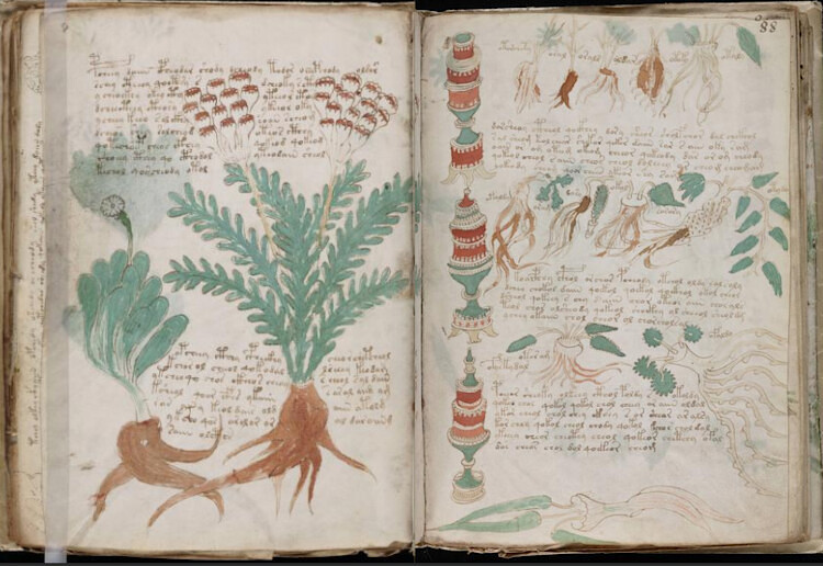 Manoscritto Voynich, pagine 87v-88r