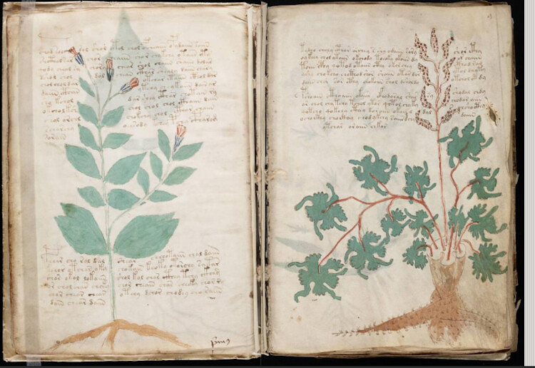 Manoscritto Voynich, pagine 8v-9r