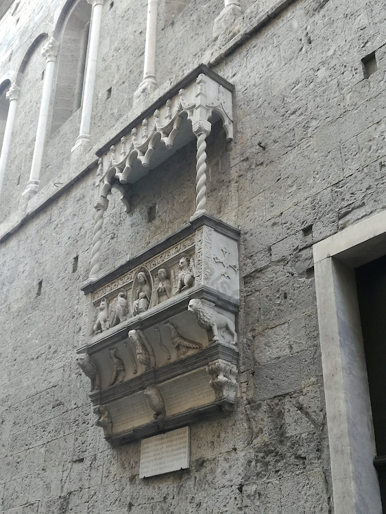 Cavaliere di Malta San Lorenzo a Genova