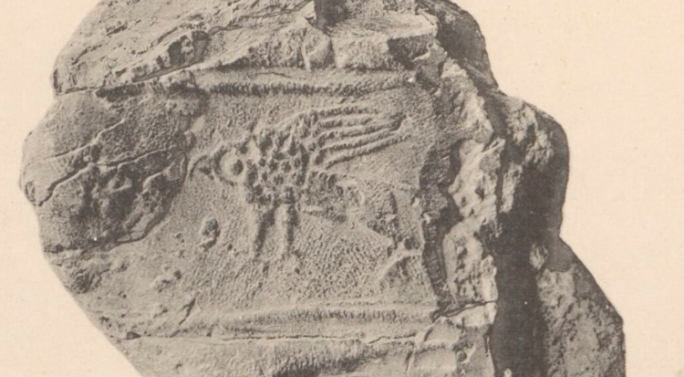 grifone susa mesopotamia
