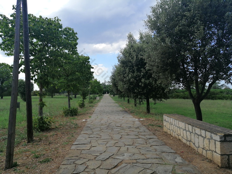 Tavole Palatine