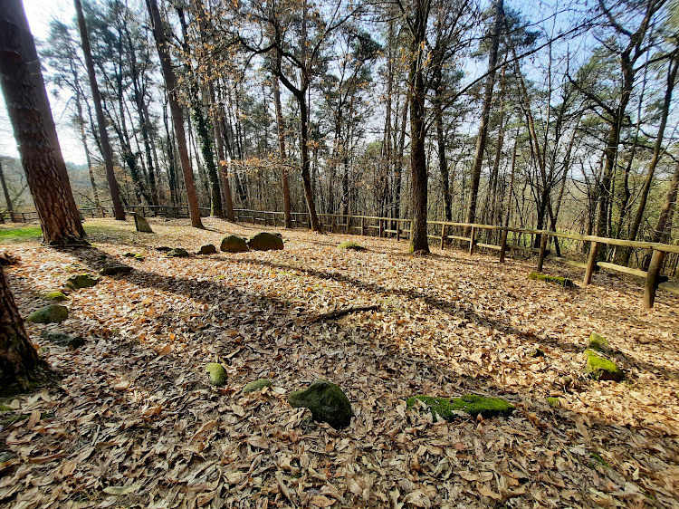 "Cromlech" funerario a forma circolare nella Necropoli di Monsorino