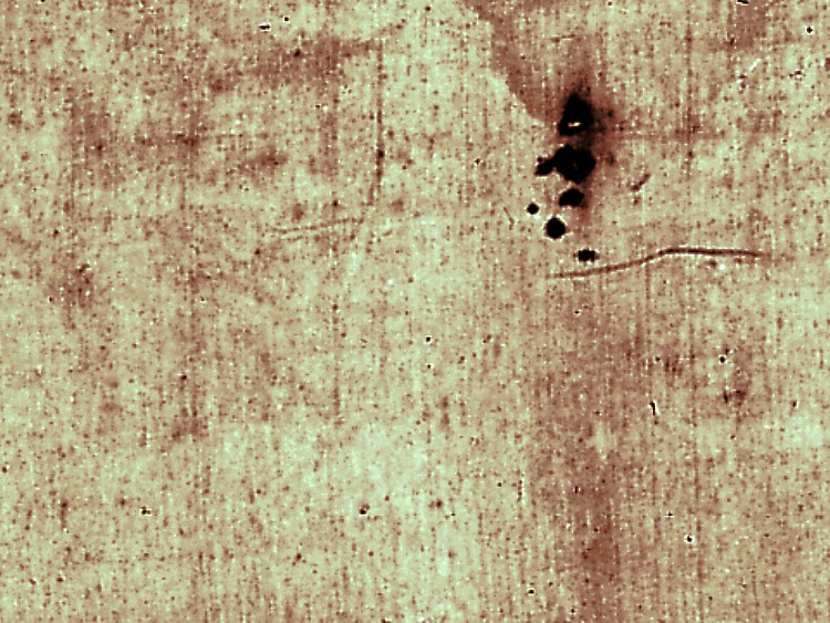 Un dettaglio delle macchie della Sindone di Torino