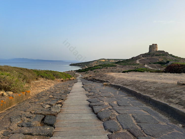 Il cardo massimo romano di Tharros